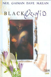 Afbeeldingen van Black orchid - Black orchid