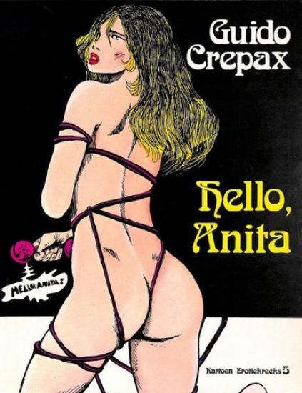 Afbeelding van Kartoen erotiekreeks #5 - Hello anita - Tweedehands (KARTOEN, zachte kaft)