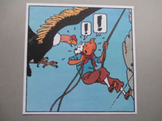 Afbeelding van Kalenderprent kuifje klimmen