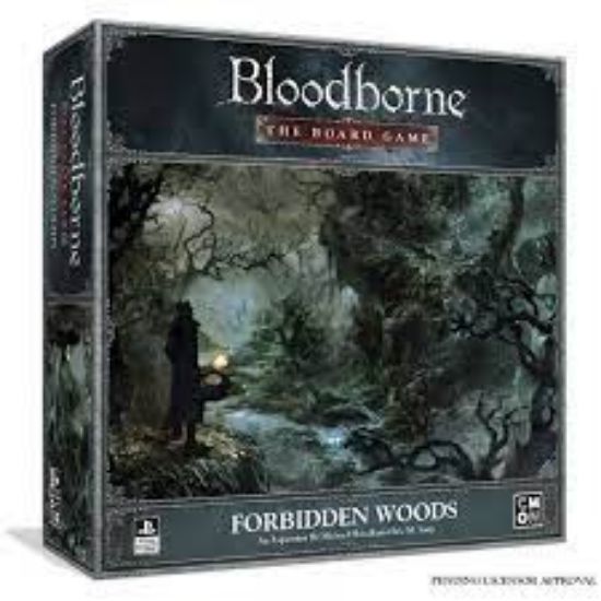 Afbeelding van Bloodborne forbidden woods (CMON)
