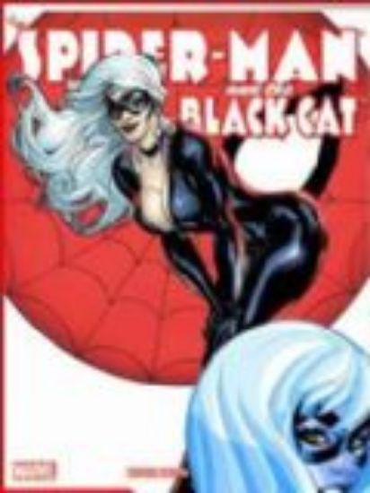 Afbeelding van Spider-man and the black cat #1 - Spider-man and the black cat 1 (DARK DRAGON BOOKS, zachte kaft)