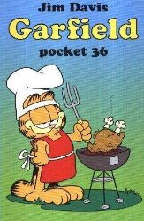 Afbeeldingen van Garfield pocket #36 - Pocket 36 (BRUNA - LOEB, zachte kaft)