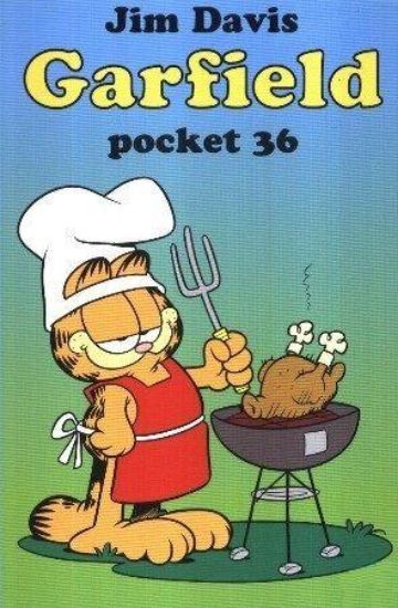 Afbeelding van Garfield pocket #36 - Pocket 36 (BRUNA - LOEB, zachte kaft)