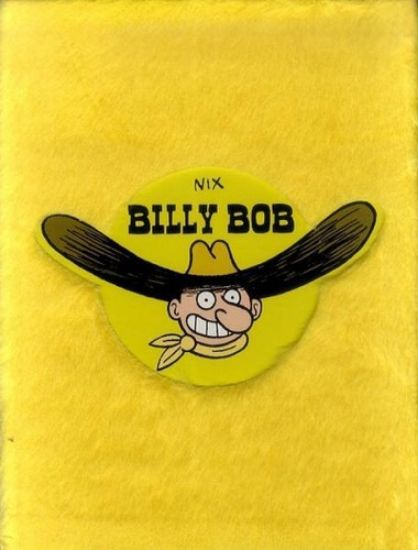 Afbeelding van Billy bob - Tweedehands (BLLOAN, harde kaft)