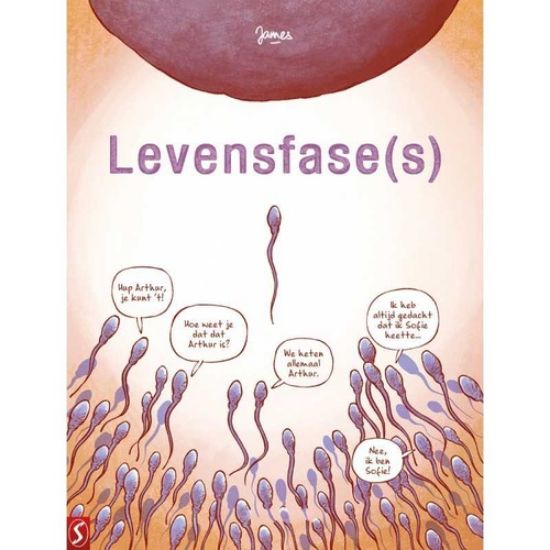 Afbeelding van Levensfase(s) (SILVESTER, zachte kaft)