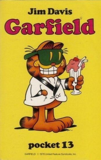 Afbeelding van Garfield pocket #13 - Pocket - Tweedehands (LOEB, zachte kaft)