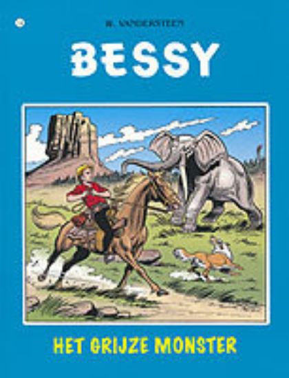 Afbeelding van Bessy #14 - Grijze monster (ADHEMAR, zachte kaft)