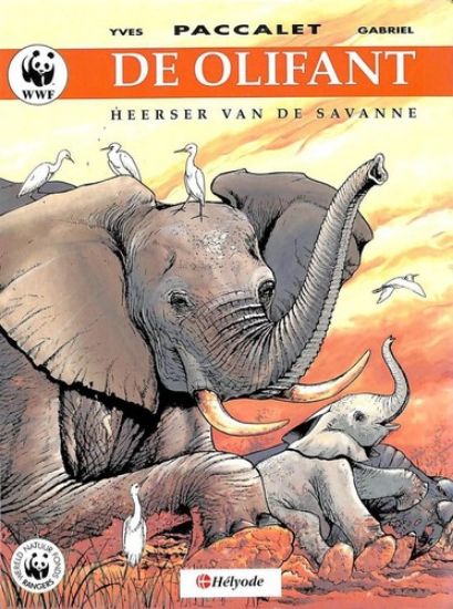 Afbeelding van Heerser van de savanne - Olifant - Tweedehands (HELYODE, zachte kaft)