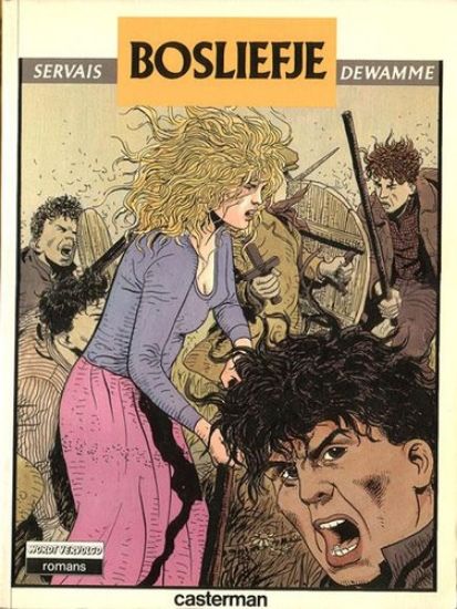 Afbeelding van Bosliefje - Tweedehands (CASTERMAN, zachte kaft)