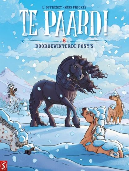 Afbeelding van Te paard #6 - Doorgewinterde pony's (SILVESTER, zachte kaft)