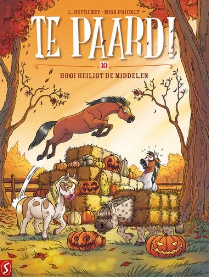 Afbeelding van Te paard #10 - Hooi heiligt de middelen (SILVESTER, zachte kaft)