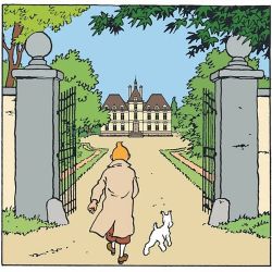 Afbeeldingen van Tintin - Au chateau de cheverny