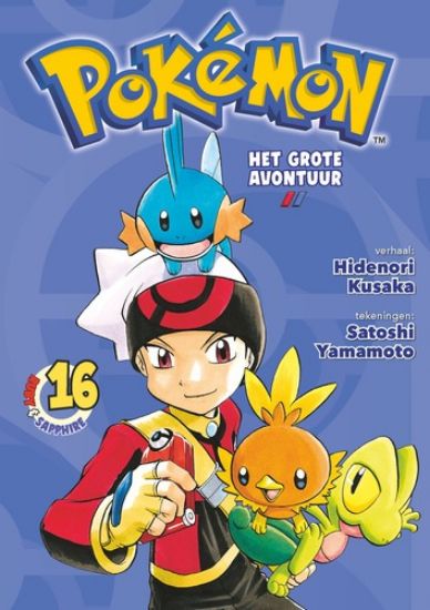 Afbeelding van Pokemon #16 - Het grote avontuur 16 (PANINI MANGA, zachte kaft)