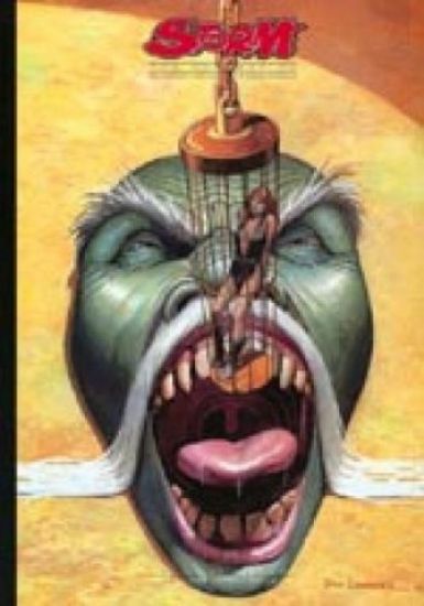 Afbeelding van Storm #1 - Storm collection (DON LAWRENCE COLLECTION, harde kaft)