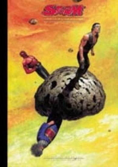 Afbeelding van Storm #6 - Storm collection (DON LAWRENCE COLLECTION, harde kaft)