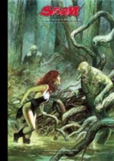 Afbeelding van Storm #2 - Storm collection (DON LAWRENCE COLLECTION, harde kaft)