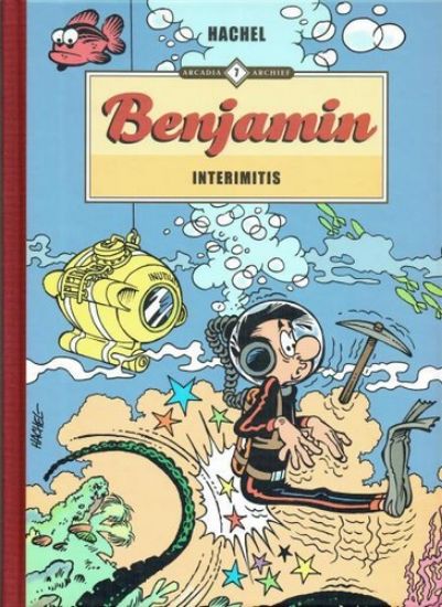 Afbeelding van Arcadia archief #7 - Benjamin interimitis (ARCADIA, harde kaft)