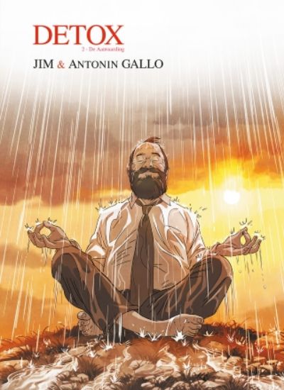 Afbeelding van Detox #2 - Aanvaarding (SAGA, zachte kaft)