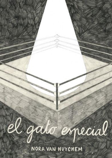 Afbeelding van El gato especial (BRIES, zachte kaft)