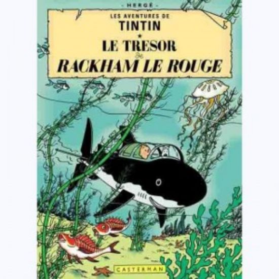 Afbeelding van Tintin (fra) - Le tresor de rackham le rouge - Tweedehands (CASTERMAN, harde kaft)