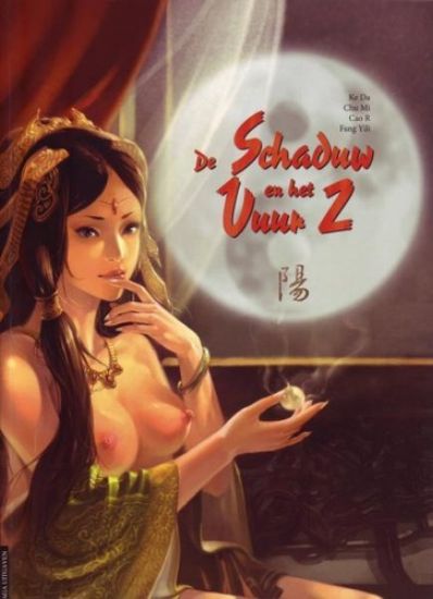 Afbeelding van Schaduw en het vuur #2 - De schaduw en het vuur - Tweedehands (SAGA, harde kaft)