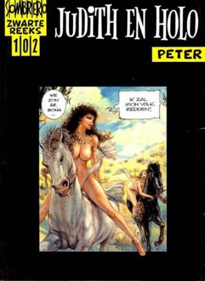 Afbeelding van Zwarte reeks #102 - Judith en holo - Tweedehands (SOMBRERO, zachte kaft)