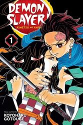 Afbeeldingen van Demon slayer manga #1 - Demon slayer 1